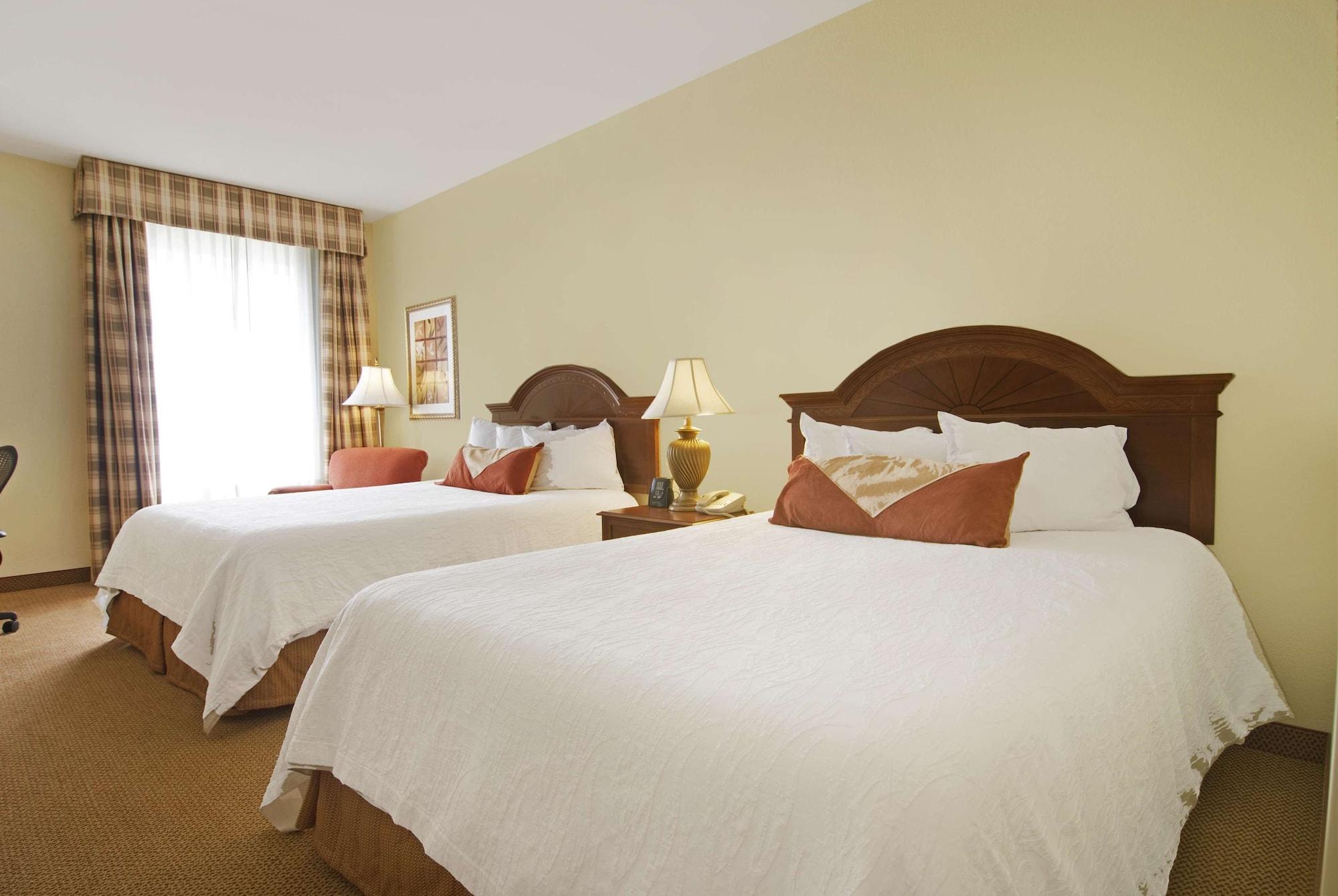 Hilton Garden Inn Knoxville West/Cedar Bluff Pokój zdjęcie